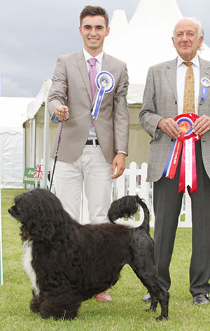 Ms L G Newton Can Gr Ch UK Multi Ch Hi Seas Dr Romeo Macduff with group judge Mr R Newhouse 