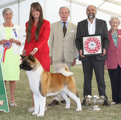 Ms C Bevis & Ms F & Mrs R Corr Ch Stecal's Love At First Sight JW with BIS judge Miss A Ingram, Mrs I Terry (Secretary) & Mr A Bongiovanni (R C) 