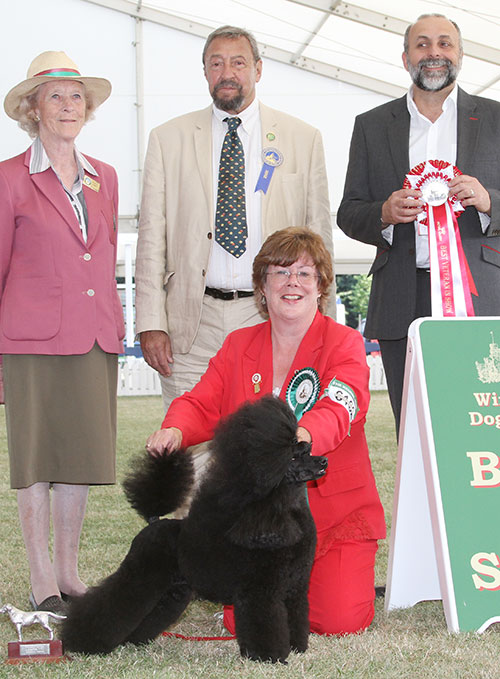 Mrs E Holmes-Leak Ch Michandy Great Expectation By Navarre JW Sh CM with BVIS judge Mr C Saevich, Miss O Gore (Chairman) & Mr A Bongiovanni (R C) 