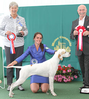 Mrs A & Miss A Siddle & Mr B Crocker Wilchrimane Frankel (ai) with group judge Miss A Ingram & Mr P Galvin (Royal Canin) 