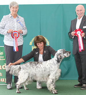 Mrs L Taylor Wansleydale Queen Bee JW with group judge Miss A Ingram & Mr P Galvin (Royal Canin)