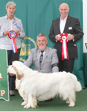 Mr L Cox & Mrs C Reynolds & Mr B Crocker Sh Ch Ir Ch Ned Ch Wyclydo's Fast As The Wind At G with group judge Miss A Ingram