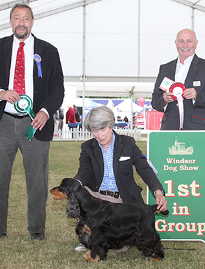 Mrs P L Bentley Sh Ch Canigou Rock Star with veteran group judge Mr C Saevich & Mr P Galvin (Royal Canin)