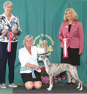 Mr D G & Mrs Y L Short Collooney Tartan Tease with group judge Miss A Igram & Mrs S Wilkinson (Committee) 