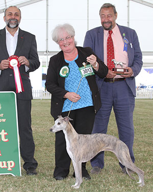 Mr S S & Mrs T L Mulligan Oakbark Miss Independent at Ashkyem with veteran group judge Mr C Saevich & Mr A Bongiovanni (Royal Canin)