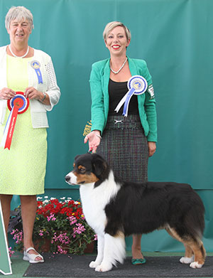 Miss M Spavin Ch & Croat Jun Ch Hearthside Man Of Mystery At Dia with group judge Miss A Ingram