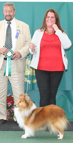 Miss C J Stafford Ch Rannerdale Star O' The North JW with veteran group judge Mr C Saevich 