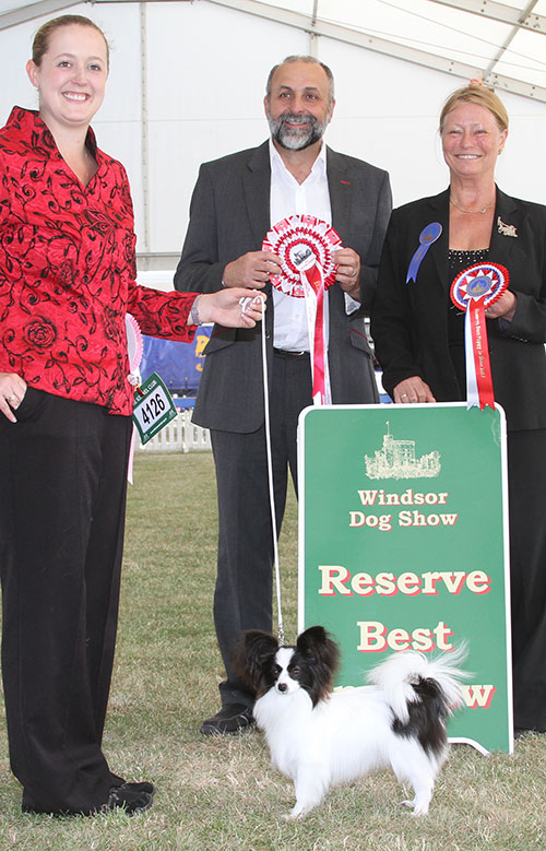 Miss S C Langdon Shadowknight Ebony Rose Of Skyvana with BPIS judge Miss J Dove & Mr A Bongiovanni (Royal Canin); 