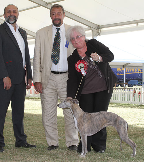 Mr S S & Mrs T L Mulligan Oakbark Miss Independent at Ashkyem with BVIS judge Mr C Saevich & Mr A Bongiovanni (Royal Canin)