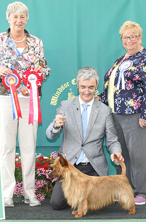 Mrs S McCourt, Mr P Eardley & O'Reilly Mesdam Ch Silhill Red Crackle with group judge Miss A Ingram