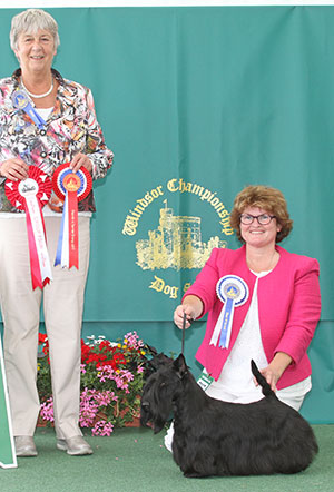 Miss C L Chapman, Miss E J Bradley & Herd Mis Brueik Tickled Pink By Berrybreeze with group judge Miss A Ingram