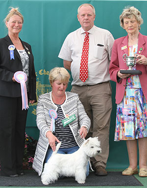 Mr R J & Mrs T M Gaydon The Dashing Devil's Popcorn At Gilbri with puppy group judge Miss J Dove & Mrs A Lavelle (Committee) 