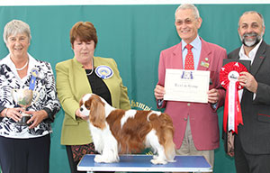 Mrs M Cunningjam Verheyen Anton with group judge Miss A Ingram & Mr G King (Chief Steward) 