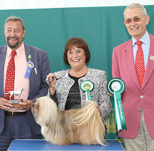 Mrs R A Harris Tiggerfield Sweet Cindy at Mantafield Sh CM with veteran group judge Mr C Saevich & Mr G King (Chief Steward)