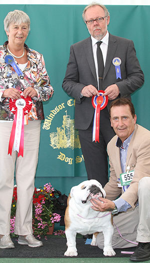 Mr & Mrs P & H Seal Ch Sealaville He's Tyler with group judge Miss A Ingram & Mr B Bosch (Bulldog judge)