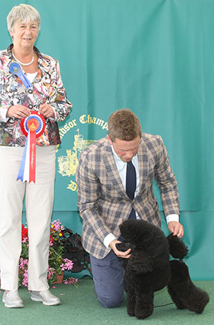 Mr T Isherwood, Mrs L Howard & Mrs Y Rawley Afterglow Foxtrot Oscar with group judge Miss A Ingram 