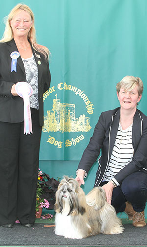 Mrs M Flack Shalehan Yarina For Mifcah (Imp) with puppy group judge Miss J Dove