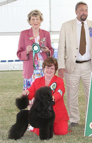 Mrs E Holmes-Leak Ch Michandy Great Expectation By Navarre JW Sh CM with veteran group judge Mr C Saevich & Mrs A Lavelle (Committee)