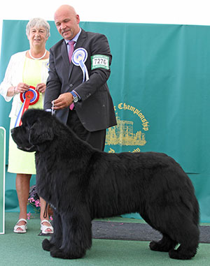 Mr Z Bartus & Mr O Fanfur Int Ch Ursinus Velutus Zesty Guy with group judge Miss A Ingram