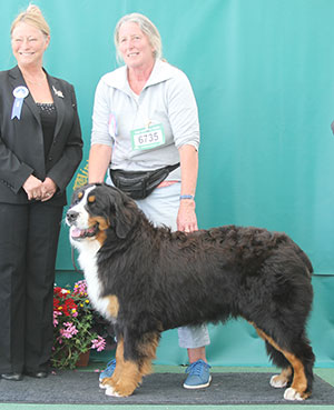 Mrs S Bridges Kernow Troubadour with puppy group judge Miss J Dove