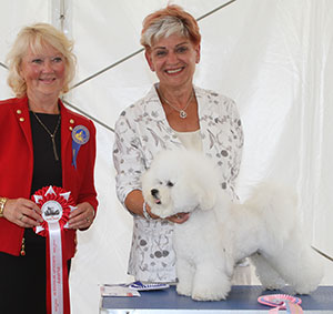 Mrs P Johns Manoir's Man For All Seasons with puppy group judge Mrs L Salt