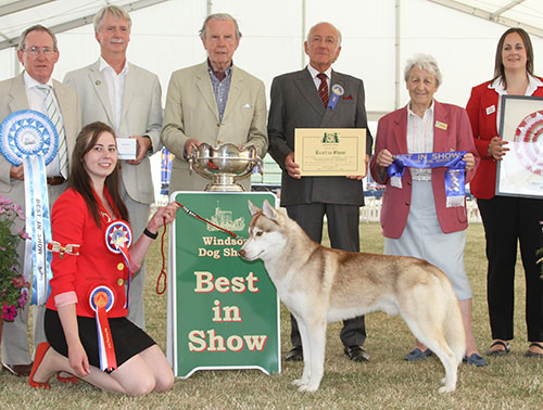 Miss J Allen Siberiadrift Keep The Love For Zimavolk JW with BIS judge Mr R Newhouse, Mrs I Terry (Secretary), The Earl of Buchan (Patron) 