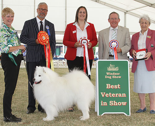 Mrs V Freer & Mrs S Smith Ch Nikara Diamond Dancer JW with BVIS judge Dr A Schemel, Mrs I Terry (secretary) & Professor S P Dean (President) 