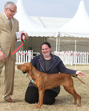 Miss S Wallington Nicael Blue Diamond Among Ohanava (Naf)with spbeg judge Mr F Kane