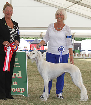 Mrs D Garratt & Miss S Oakey Ch Caryna Neferti JW Sh.CM with group judge Miss J Dove