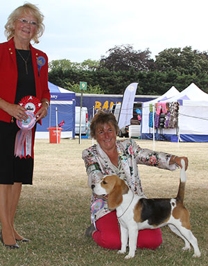 Miss S Parker & Mr G Stevens Serenaker Maid In America with puppy group judge Mrs L Salt