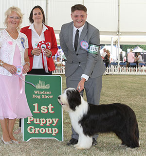 Mrs L Bartlett Kelligrews Kiss Under A Star with puppy group Mrs L Salt & S Sage (Royal Canin) 