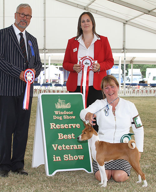 Mrs D Hardy & Mrs P Hallam Ch Tokaji California Dreaming with BVIS judge Dr A Schemel & S Sage (Royal Canin)