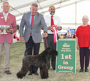 Mr R Tasselli Balboa Nembo Kid with group judge Miss A Bradley, Mr I Kettle (Health & Safety Officer) & Mr A Bongiovanni (Royal Canin)