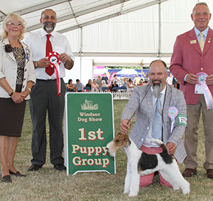 Mrs A Christ & Christ Blackdale Celtic Warrior with puppy group judge Mrs L Salt, Mr I Kettle (H & S Officer) & Mr A Bongiovanni (Royal Canin) 