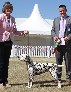 Dr E & Mr W Sampson Dalstorm Eternal Promise JW with spbeg judge Mr D Roberts 