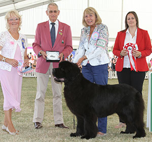 Mrs A P Springthorpe Millthorpe Mr Rochester with puppy group judge Mrs L Salt, Mr G King (Chief Steward) & S Sage (Royal Canin) 