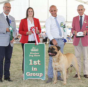Mr P J Myers & Miss D Morgan Ch Old Manila's Whisky Mac For Optimus JW with veteran group judge Dr A Schemel, Mr G King (Chief Steward) & S Sage (RC)