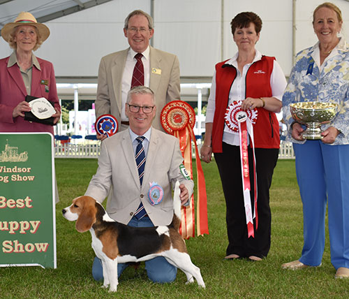 Messrs Jones & Jepson Messrs T & S Eardley Anna Sasin with BPIS judge Mrs M Purnell-Carpenter, Miss O Gore (Chairman) & Royal Canin