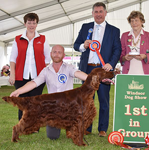 Mr B A Crocker Sh Ch Copper's War Of Roses (Swed Imp) with group judge Mr J Horswell, Mrs A Lavelle (Committee) & Royal Canin 