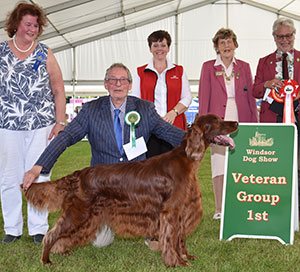 Mrs D Milligan-Bott & Mr J N Bott Sh Ch Thendara Pot Noodle JW with veteran group judge Mr S Band, Mrs A Lavelle (Committee) & Miss C Tuite IrS judge