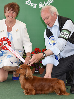Mr R Wood Ch Wildstar Wrobinson JW with group judge Miss S Parker