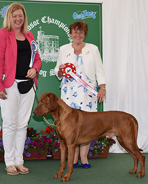 Mr & Mrs H & C L Catharell Ch Faahac Free N'easy JW Sh.CM with group judge Miss S Parker