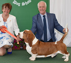 Mr P Freer Ch & It Ch Switherland Smart Image with group judge Miss S Parker