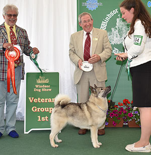 Mrs J E Cowper Ch Rothenborg Leaha with veteran group judge Mr S Band 