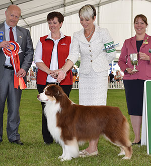 Mrs K Kirtley & Mrs D Erdesz AKC ASCA Ch Wyndstar Magic Marker with group judge Mr P Lawless, Mrs H Hutchings Brooks (Committee) & Royal Canin