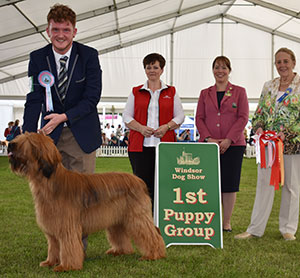 Mrs J Snelling Beaugency Bouzy Roots with puppy group judge Mrs M Purnell-Carpenter, Mrs H Hutchings Brooks (Committee) & Royal Canin