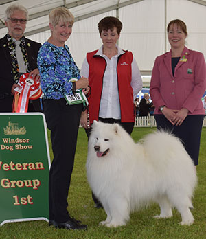 Mrs V Freer & Mrs S Smith Ch Nikara Diamond Dancer JW with veteran group judge Mr S Band, Mrs H Hutchings Brooks & Royal Canin