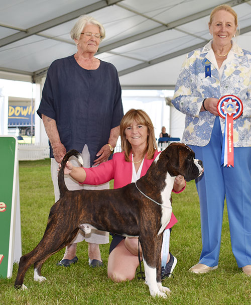 Mrs F Pynegar Maranseen Linesman At Berwynfa with BPIS judge Mrs M Purnell-Carpenter