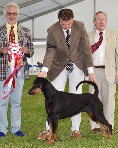 Mrs J A Ingram & Miss V L Ingram Ch Tronjheim Belladonna From Jojavik JW Sh CM with BVIS judge Mr S Band