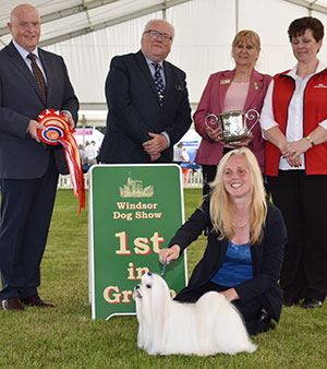 Miss S Jackson & Ms A Egan Ch Benatone Gino D'acampo with group judge Mr D Guy, Mrs B-M Young (Committee) & Royal Canin 